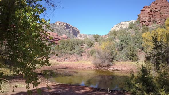 Flying towards pond past trees in the Arizona desert