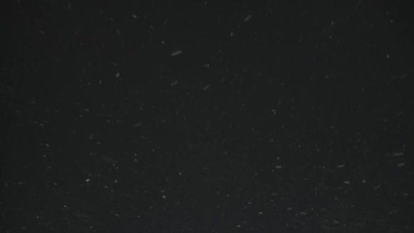 Looped Video, Heavy Snowfall Against Black Night Sky, Fresh White Snow Falling.