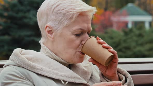 Happy Dreamful Grayhaired Elderly Mature Lady Grandmother Sitting on Park Bench Drinking Coffee Hot