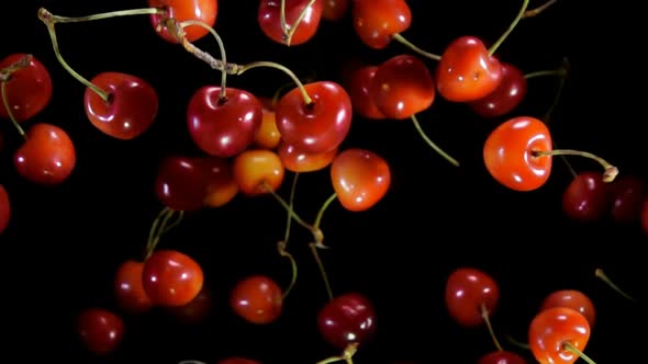 Cherries with Sprigs Bounce on Black Background