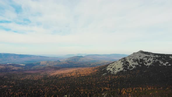 Aerial View of the Slopes of the Mountains Covered with Spruce Forest and the First Snow the South