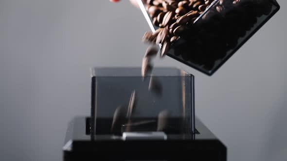 Fresh Roasted Coffee Beans Falling in Box