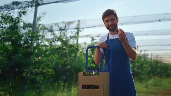 Agronom Worker Holding Cherry at Modern Farmland