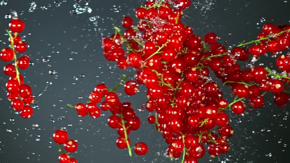 Super Slow Motion Shot of Red Currants and Water Side Collision on Grey Background at 1000Fps.