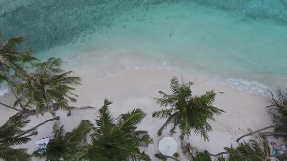 Maldives, The island of Thulusdhoo, Kaafu Atoll