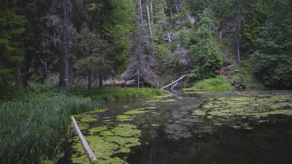 Springs Near Red Sand Rocks in the National Park