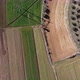 Drone view of trees and crops on fertile and cultivated fields on a sunny day - VideoHive Item for Sale