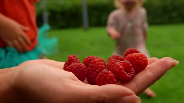 Little Girl Runs and Takes a Delicious Raspberry