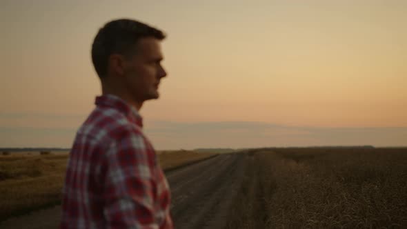 Successful Agronomist Man Inspect Organic Harvest in Sunrise Morning Farmland