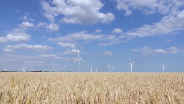 Panorama of Beautiful Landscape with Wind Generators in the Steppe Zone
