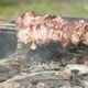 Kebab is Sprayed with Water on a Barbecue Grill Over Charcoal - VideoHive Item for Sale