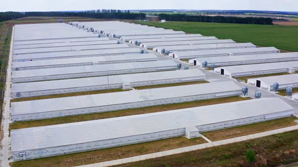 Prefabricated farm building in a green field