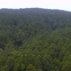 Aerial Drone Shot a Green Forestcovered Hill in Countryside Drone pulling back to reveal trees - VideoHive Item for Sale