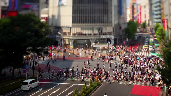 Shibuya Crossing In Tokyo Japan