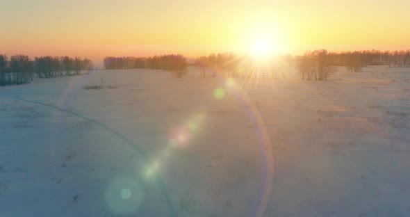 Aerial Drone View of Cold Winter Landscape with Arctic Field Trees Covered with Frost Snow and