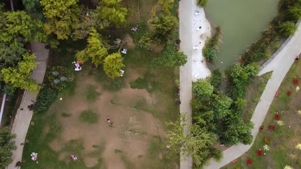 Small Lake In The Park