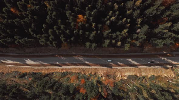 Aerial Top View  Footage Car Driving Along Road in Pine Forest