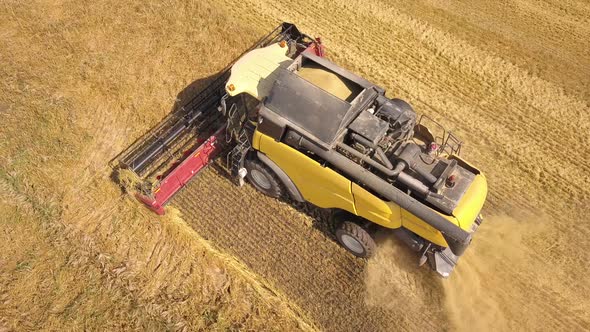 Aerial View of Combine Harvester Harvesting Large Ripe Wheat Field