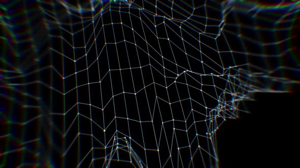 Distorted Wireframe Field