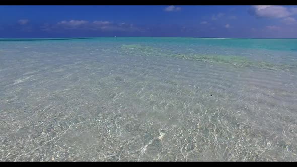 Aerial drone view tourism of idyllic lagoon beach wildlife by blue green lagoon and clean sandy back