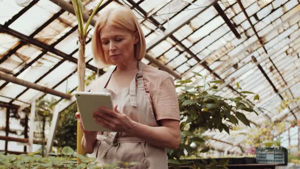 Woman Using Tablet while Working in Greenhouse Farm