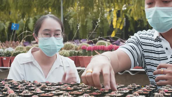 Two masked people an asian man and asian woman look at small pots of young cacti. He picks one up an