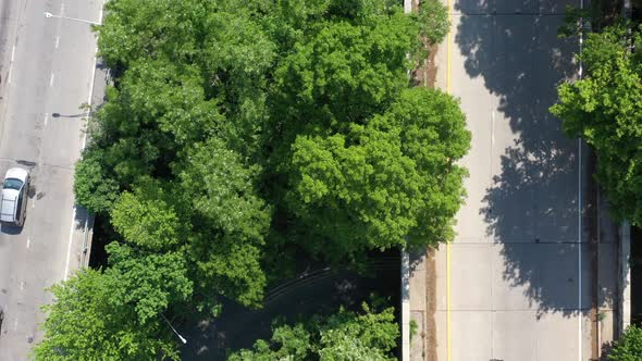 An aerial view directly over a parkway median with green grass and trees. The camera dolly in, looki