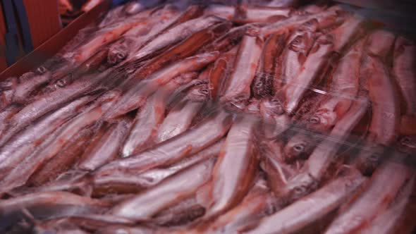 Red Fish Trout are Sold on Display in a Store