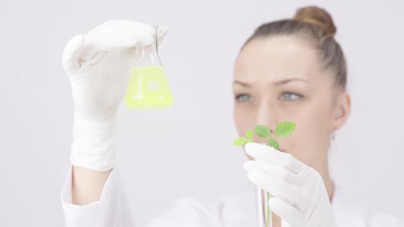 Microbiologist Analyzes Plant Leaf Liquid in Chemical Flask on White Background