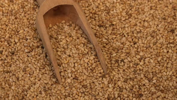 Sesame Seeds Natural dry raw organic food grain, Top view background, Agriculture harvest concept