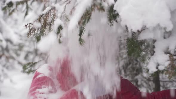 Happy Girl Shakes Snow Off a Tree