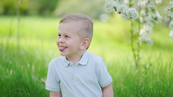 Funny Little Boy on the Lawn in the Flowering Spring Garden