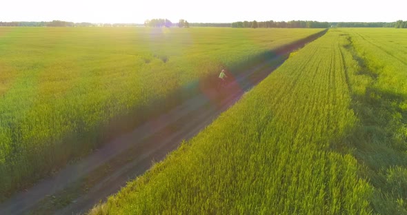 Aerial View on Young Boy That Rides a Bicycle Thru a Wheat Grass Field on the Old Rural Road