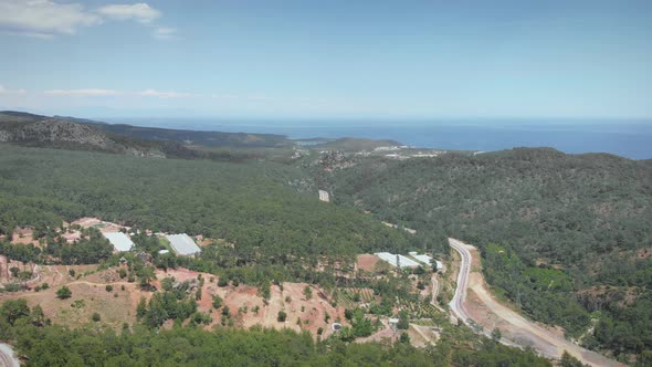 Mountain hills with pine tree green forest