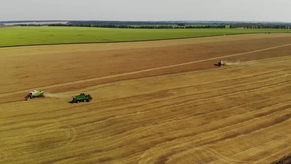 Harvesting Grain By the Combine in the Central Black Earth of Russia