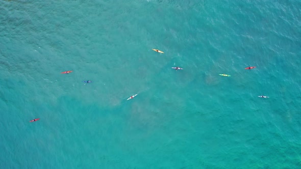 A Group of Extreme Sportsmen in Colorful Kayaks Are in the Calm Blue Open Ocean