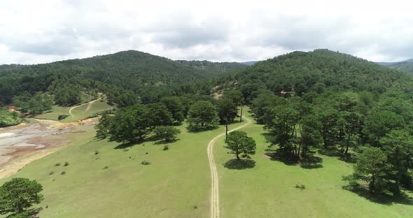 Small Road On Pine Hill In Dalat Viet Nam