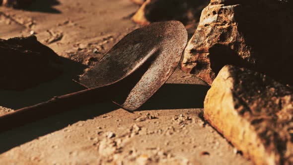 Old Rusty Shovel on Wet Sand at the Beach