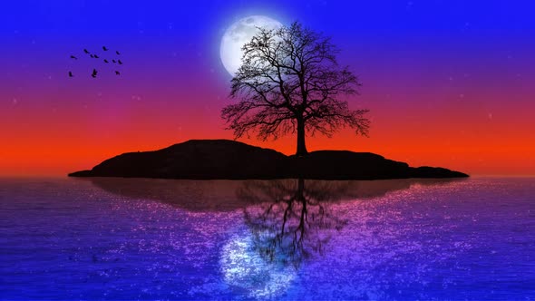 Island Background of Full Moon light Night and Rock Ocean Tree