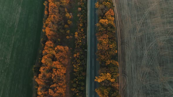 An Aerial View of an Evening Autumn Road Without Cars at Dusk
