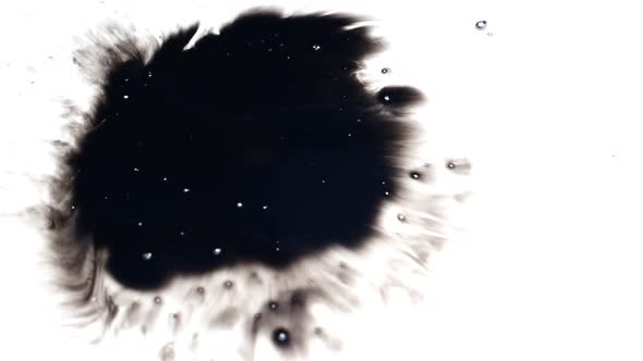 Amoeba like structure of black ink blot