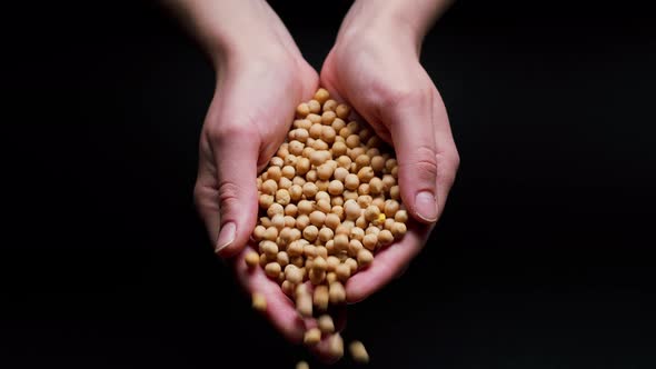 Falling Chickpeas From Hands on Black Background