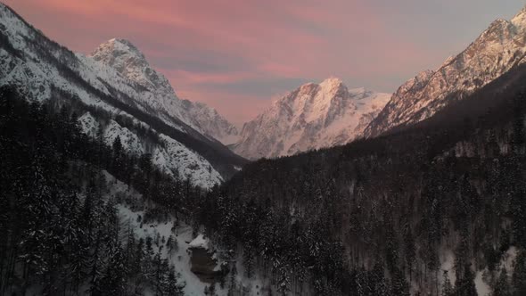 Flying over the forest towards the mountains