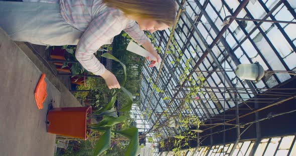 Vertical Video of a Young Woman Watering Flowers in a Greenhouse  Eco Hobby Concept