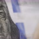 100 dollars USA close-up real money macro shot from face to text. Cash money banknotes. - VideoHive Item for Sale