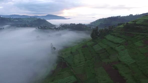 Aerial view of a village covered with mist 