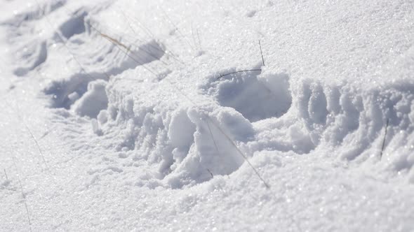 Human hiking shoe footprints on snowed hill close-up slow pan 4K 2160p 30fps UltraHD footage - Mount