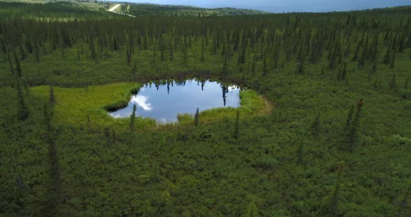 Aerial Footage Round the Small Lake Near the Highway in Alaska