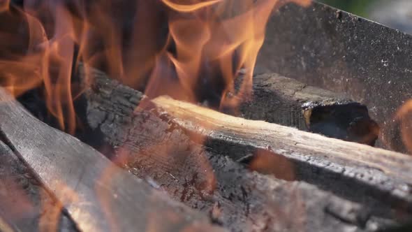 Wood Burn in Brazier
