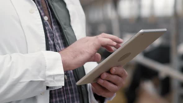 Hands of Man Using Tablet at Cattle Farm